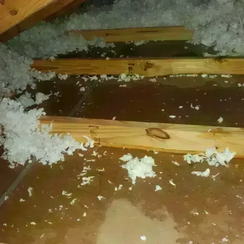 Attic Water Damage in Pascoag, RI