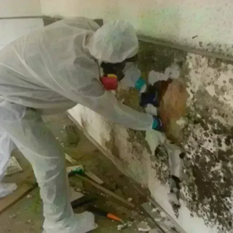 Mold Remediation and Removal in Pascoag, RI